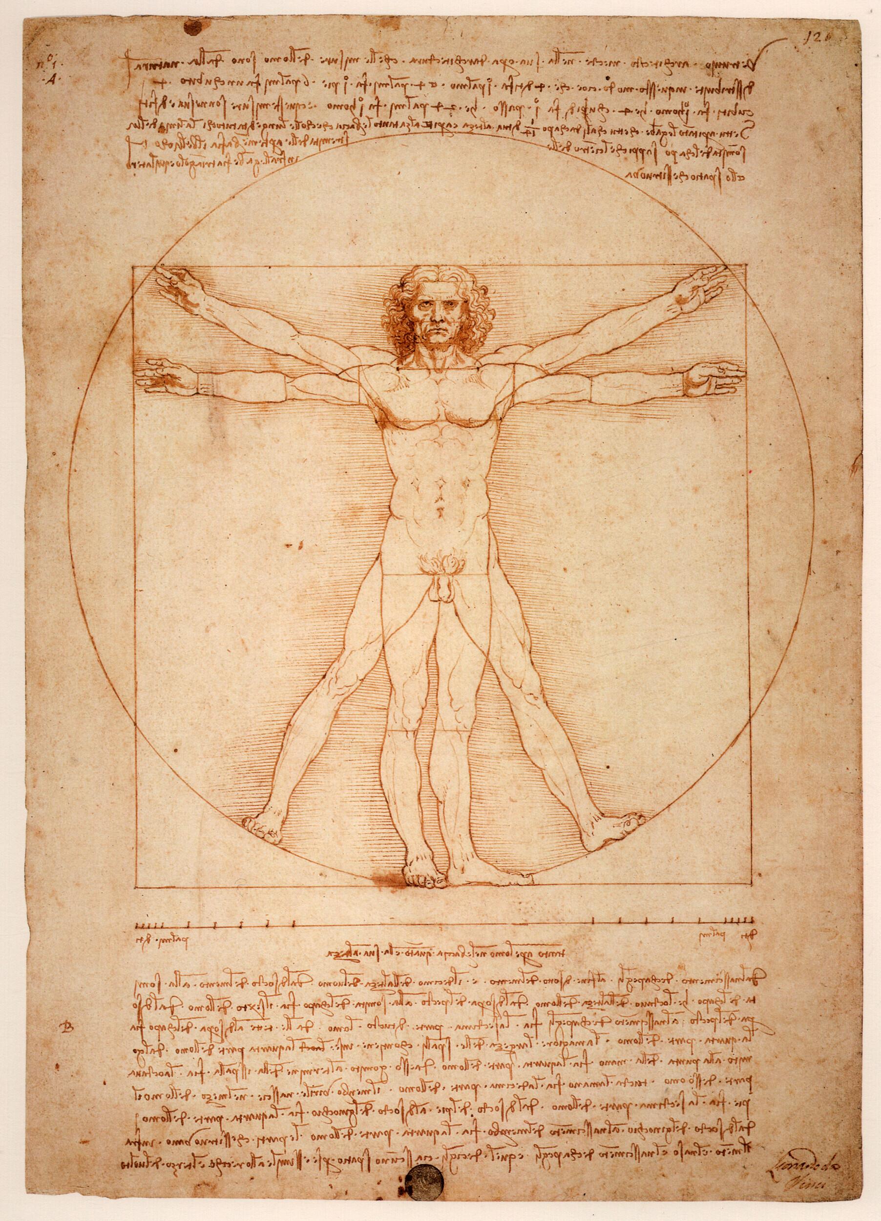 Leonardo da Vinci - Vitruvian man 